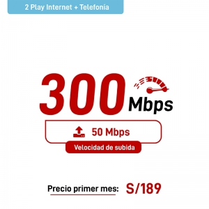 2 Play Hogar - Teléfono + Internet 300Mbps